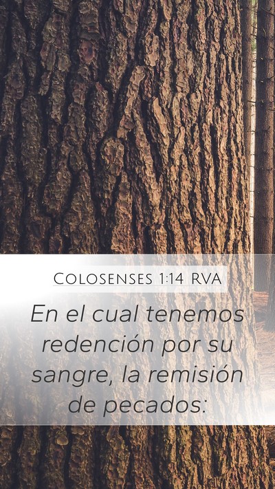 Colosenses 1:14 RVA Bible Verse Image