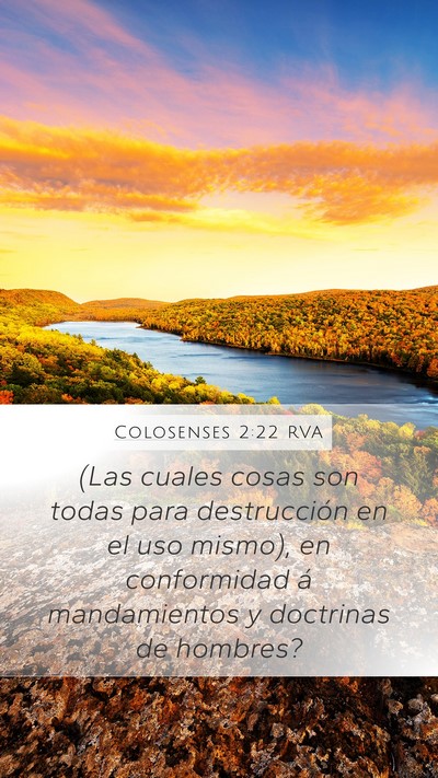 Colosenses 2:22 RVA Bible Verse Image