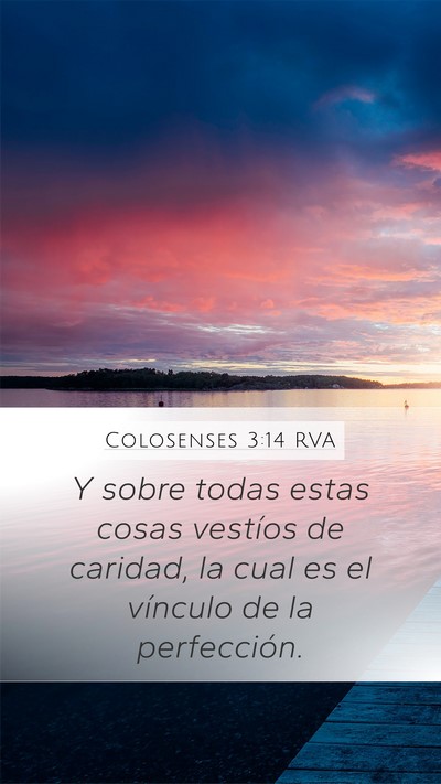 Colosenses 3:14 RVA Bible Verse Image