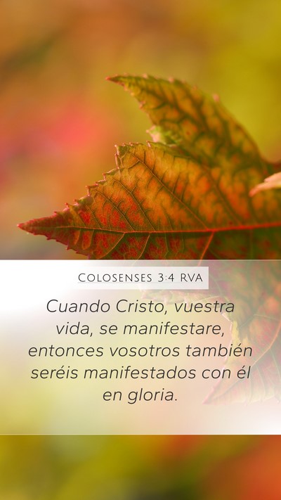 Colosenses 3:4 RVA Bible Verse Image