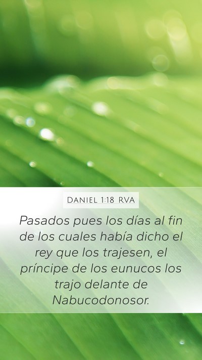 Daniel 1:18 RVA Bible Verse Image