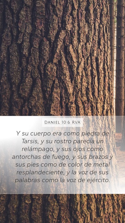 Daniel 10:6 RVA Bible Verse Image