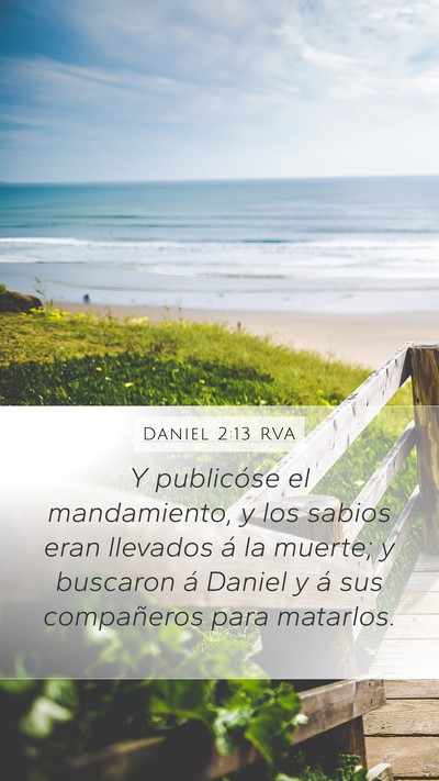 Daniel 2:13 RVA Bible Verse Image