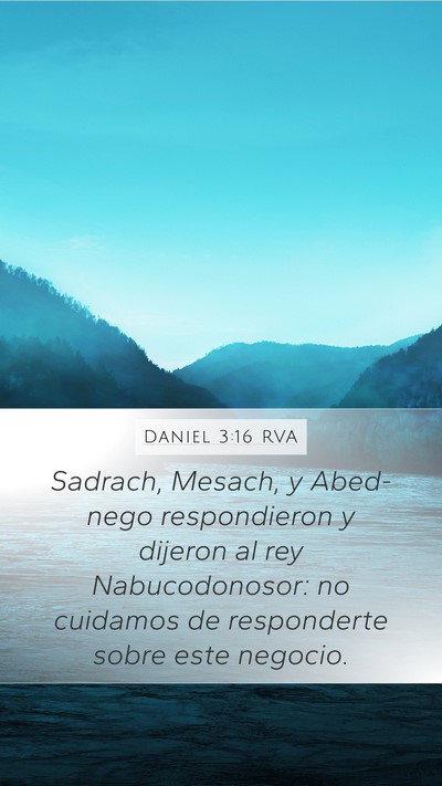 Daniel 3:16 RVA Bible Verse Image
