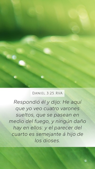 Daniel 3:25 RVA Bible Verse Image