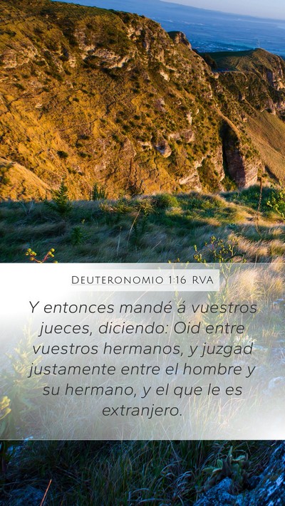 Deuteronomio 1:16 RVA Bible Verse Image