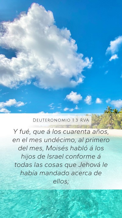 Deuteronomio 1:3 RVA Bible Verse Image