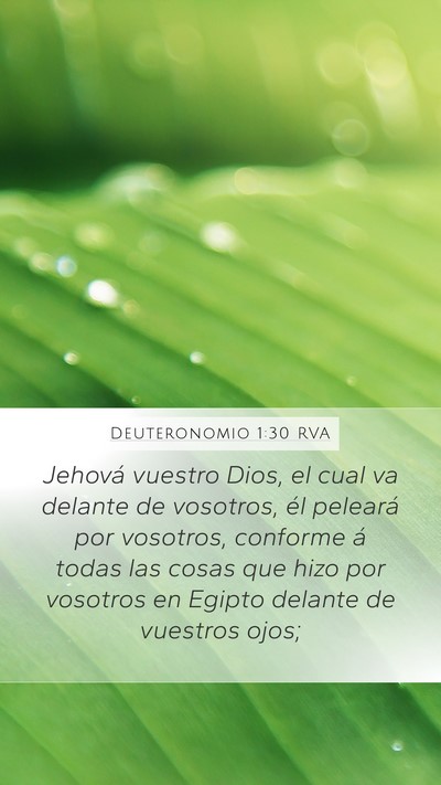 Deuteronomio 1:30 RVA Mobile Phone Wallpaper - Jehová vuestro Dios, el cual va delante de - Mobile Bible Verse Wallpaper