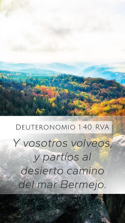 Deuteronomio 1:40 RVA Bible Verse Image