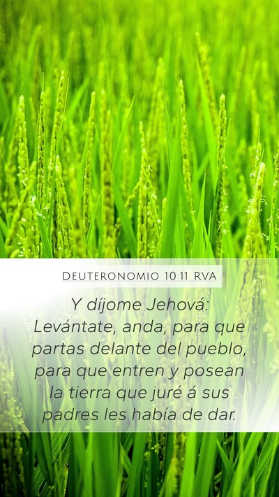 Deuteronomio 10:11 RVA Mobile Phone Wallpaper - Y díjome Jehová: Levántate, anda, para que - Mobile Bible Verse Wallpaper