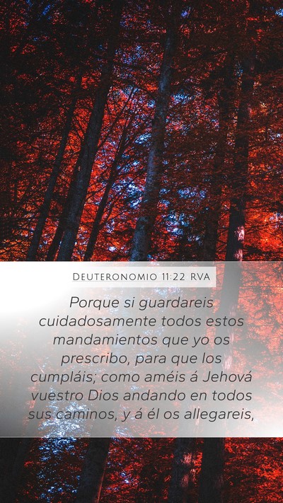 Deuteronomio 11:22 RVA Bible Verse Image