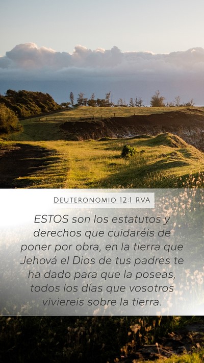 Deuteronomio 12:1 RVA Bible Verse Image