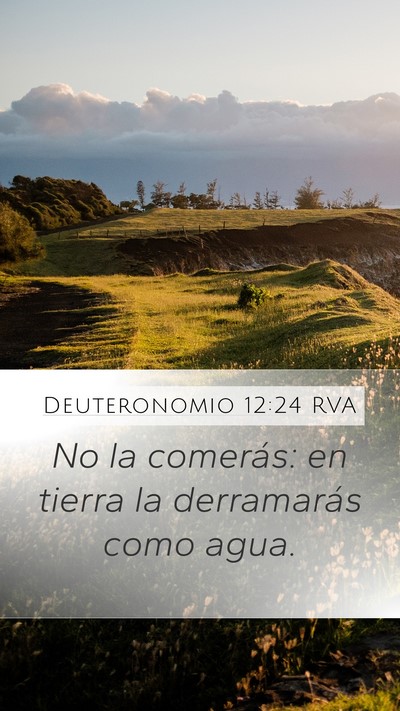 Deuteronomio 12:24 RVA Mobile Phone Wallpaper - No la comerás: en tierra la derramarás como - Mobile Bible Verse Wallpaper
