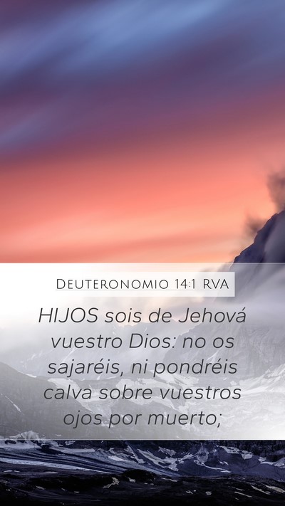Deuteronomio 14:1 RVA Bible Verse Image