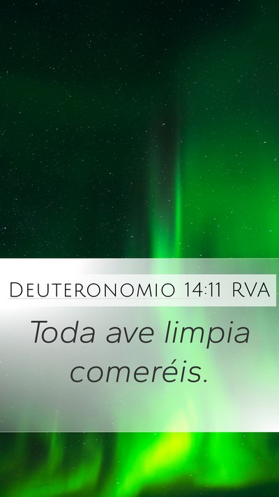 Deuteronomio 14:11 RVA Mobile Phone Wallpaper - Toda ave limpia - Mobile Bible Verse Wallpaper