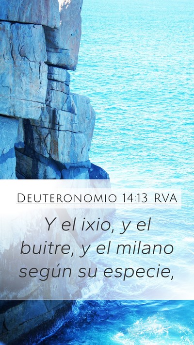 Deuteronomio 14:13 RVA Bible Verse Image