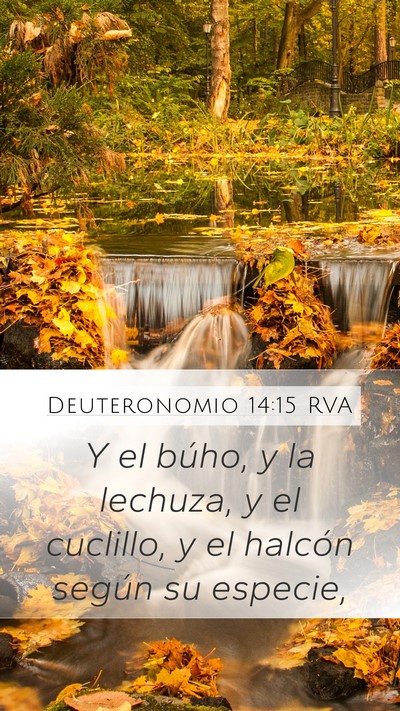 Deuteronomio 14:15 RVA Mobile Phone Wallpaper - Y el búho, y la lechuza, y el cuclillo, y el - Mobile Bible Verse Wallpaper