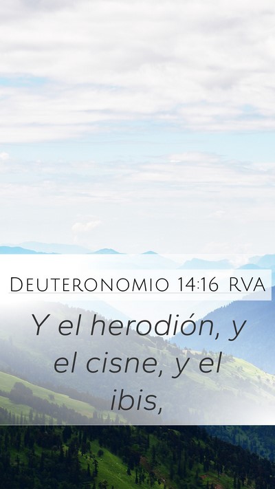 Deuteronomio 14:16 RVA Mobile Phone Wallpaper - Y el herodión, y el cisne, y el - Mobile Bible Verse Wallpaper