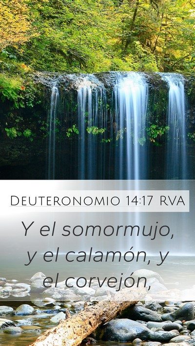 Deuteronomio 14:17 RVA Mobile Phone Wallpaper - Y el somormujo, y el calamón, y el - Mobile Bible Verse Wallpaper