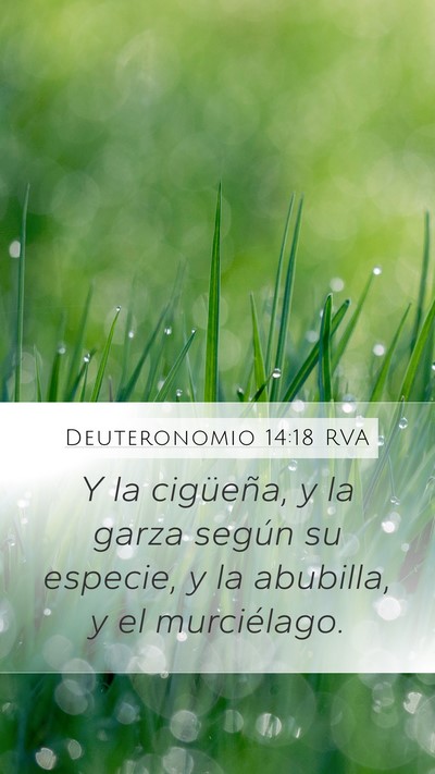 Deuteronomio 14:18 RVA Mobile Phone Wallpaper - Y la cigüeña, y la garza según su especie, y - Mobile Bible Verse Wallpaper