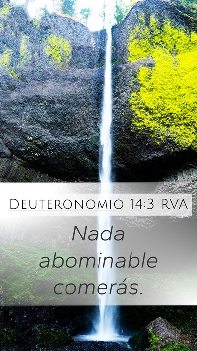 Deuteronomio 14:3 RVA Bible Verse Image