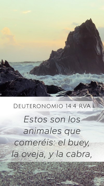 Deuteronomio 14:4 RVA Mobile Phone Wallpaper - Estos son los animales que comeréis: el buey, la - Mobile Bible Verse Wallpaper