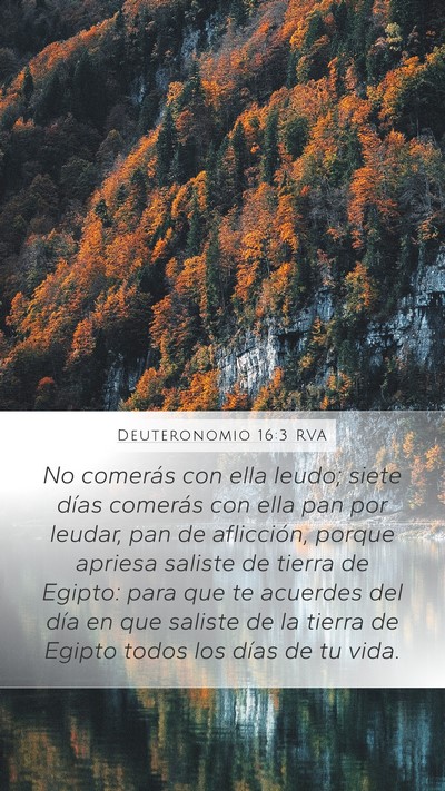 Deuteronomio 16:3 RVA Bible Verse Image