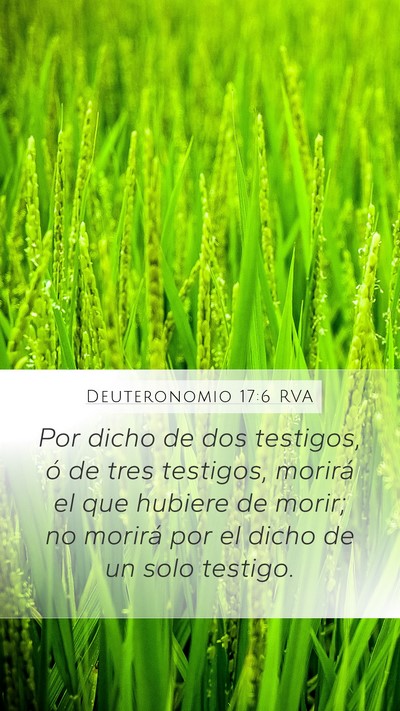 Deuteronomio 17:6 RVA Bible Verse Image