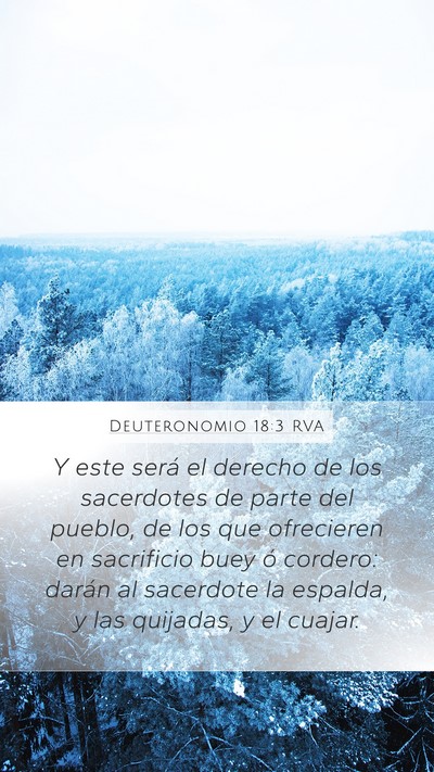 Deuteronomio 18:3 RVA Bible Verse Image
