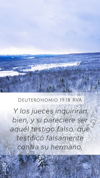 Deuteronomio 19:18 RVA Bible Verse Image
