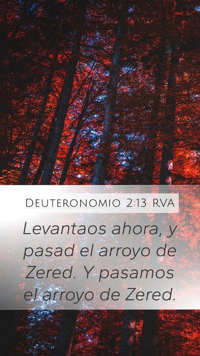 Deuteronomio 2:13 RVA Bible Verse Image