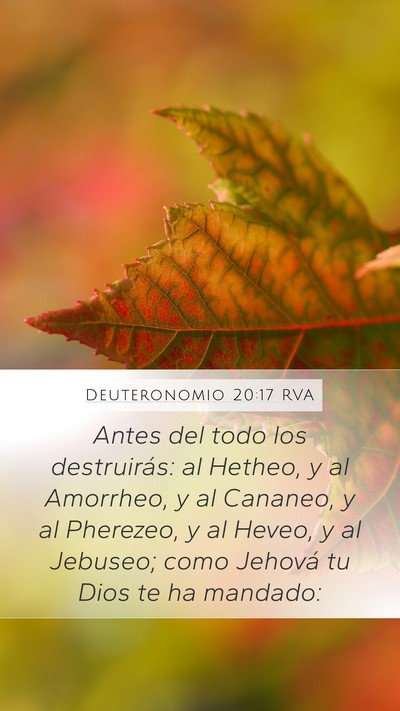 Deuteronomio 20:17 RVA Bible Verse Image