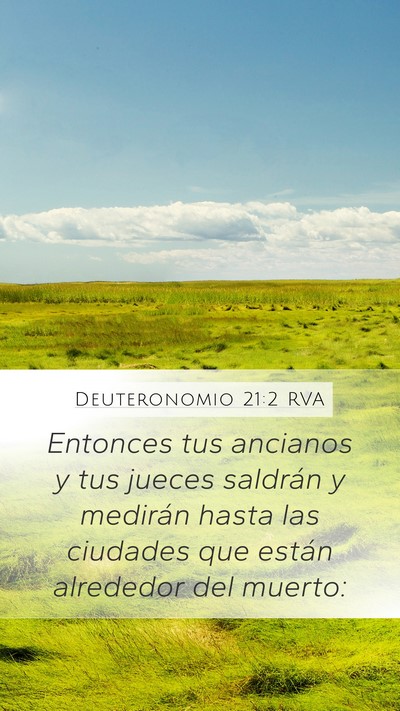 Deuteronomio 21:2 RVA Mobile Phone Wallpaper - Entonces tus ancianos y tus jueces saldrán y - Mobile Bible Verse Wallpaper