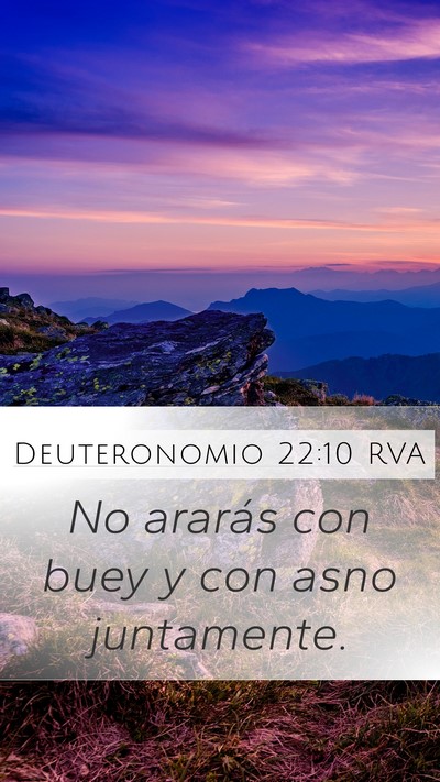 Deuteronomio 22:10 RVA Mobile Phone Wallpaper - No ararás con buey y con asno - Mobile Bible Verse Wallpaper