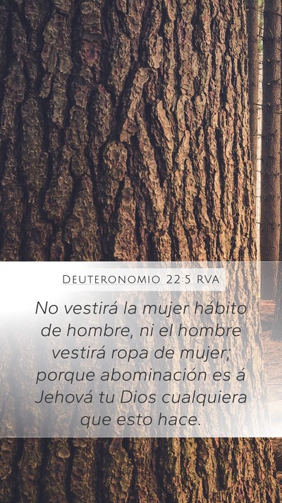 Deuteronomio 22:5 RVA Bible Verse Image