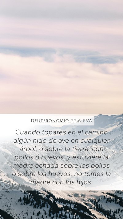 Deuteronomio 22:6 RVA Mobile Phone Wallpaper - Cuando topares en el camino algún nido de ave en - Mobile Bible Verse Wallpaper