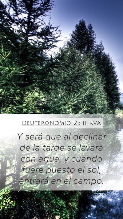 Deuteronomio 23:11 RVA Mobile Phone Wallpaper - Y será que al declinar de la tarde se lavará - Mobile Bible Verse Wallpaper