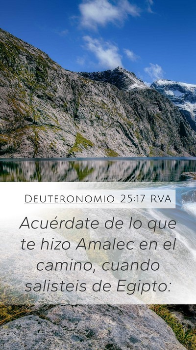 Deuteronomio 25:17 RVA Bible Verse Image