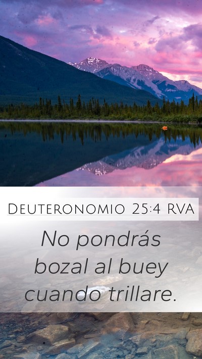 Deuteronomio 25:4 RVA Bible Verse Image