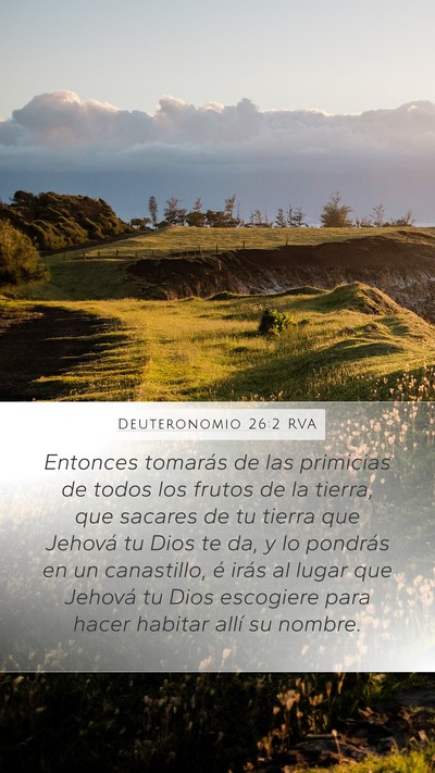 Deuteronomio 26:2 RVA Bible Verse Image