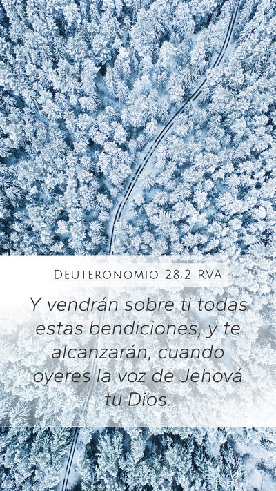 Deuteronomio 28:2 RVA Bible Verse Image