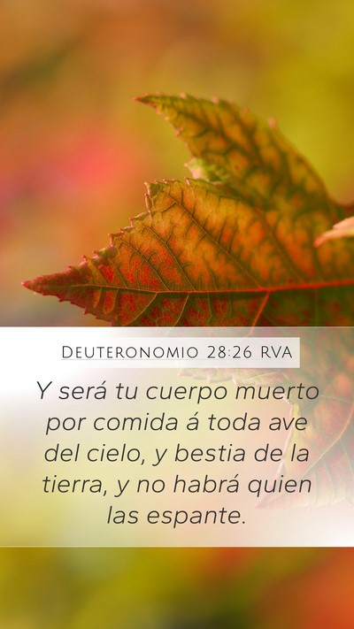 Deuteronomio 28:26 RVA Bible Verse Image