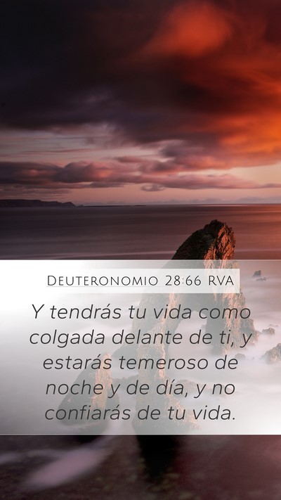 Deuteronomio 28:66 RVA Bible Verse Image