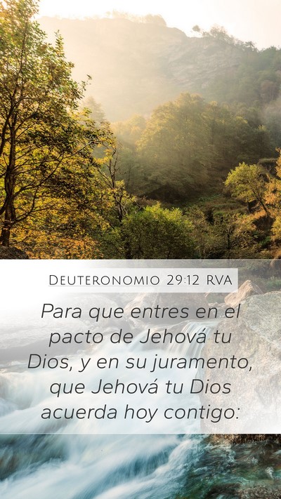 Deuteronomio 29:12 RVA Bible Verse Image