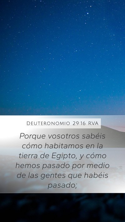 Deuteronomio 29:16 RVA Bible Verse Image