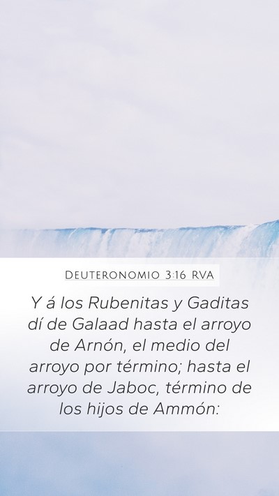 Deuteronomio 3:16 RVA Bible Verse Image
