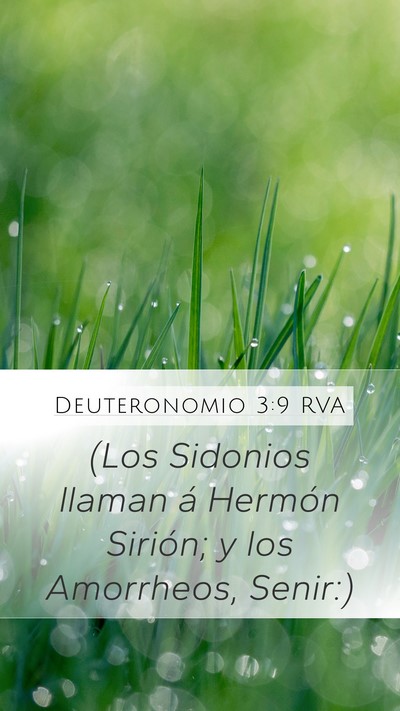 Deuteronomio 3:9 RVA Bible Verse Image