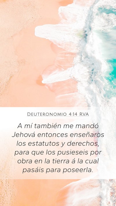 Deuteronomio 4:14 RVA Bible Verse Image