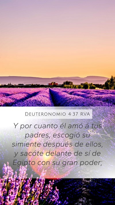Deuteronomio 4:37 RVA Bible Verse Image