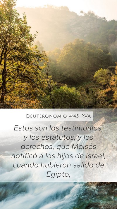 Deuteronomio 4:45 RVA Bible Verse Image